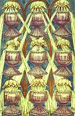 The Nine of Cups